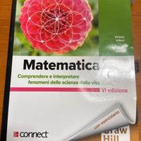 Matematica Villani Gentili Connect Mc Graw Hill