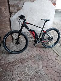 Mountain bike elettrica