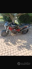 Ducati monster 695