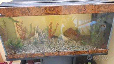 Acquario completo. più mobiletto. 