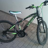 mountain bike da ragazzo marca  Vicini 24" 
