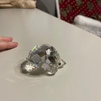 Tartaruga Swarovski