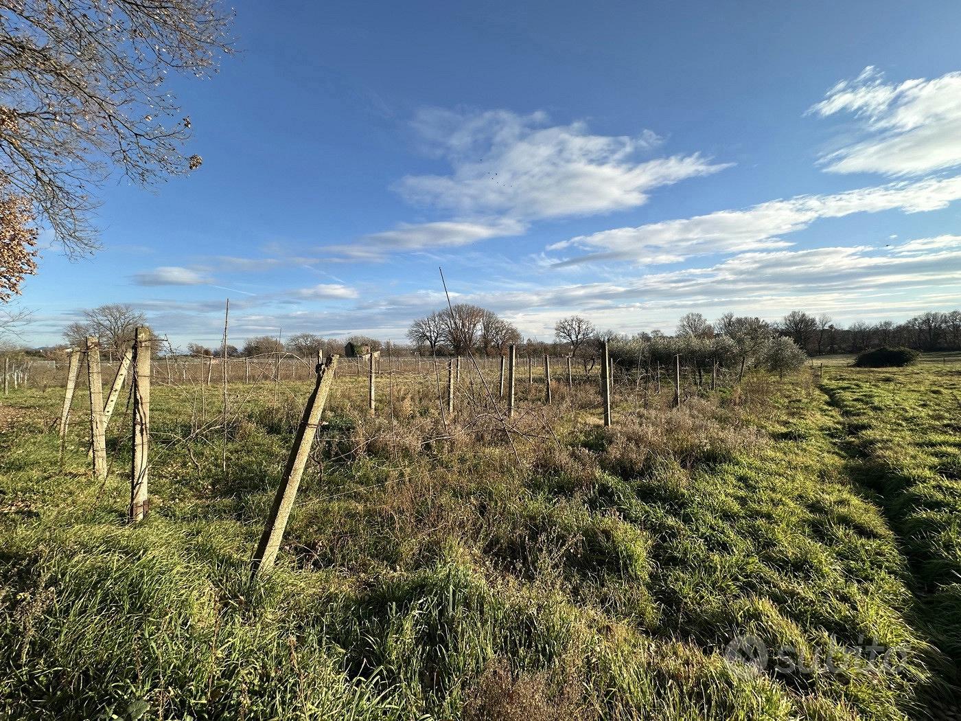 Terreno Agricolo Nepi [Cod. rif 3327488VCG] - Vista 4