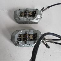 Pinze freni anteriori ducati monster 797