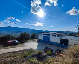 Capannone 280 Mq - Area circostante 1200mq