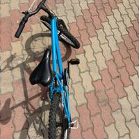 Bici taglia 20