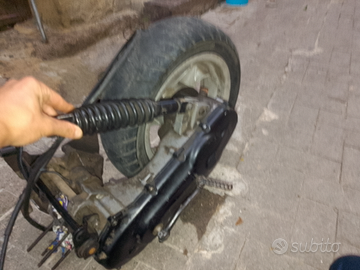 Trasmissione della malossi