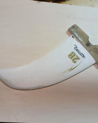 pinna windsurf 
