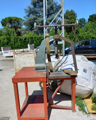 Pressa a vite da banco professionale