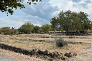 Terreno terrazzato zona Francofonte