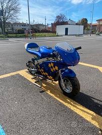 Mini moto/pocket bike racing 49cc