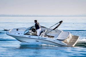 Sea Ray 210
