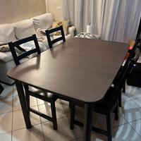 tavolo allungabile + sedie IKEA