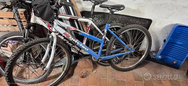 bicicletta