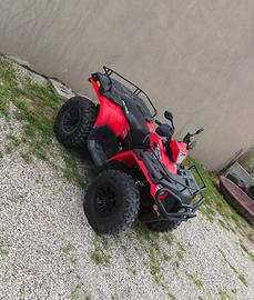 quad Polaris sportman 800 4x4 full