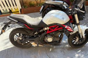 Benelli BN 302s - 2020