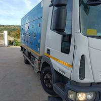 Iveco eurocargo