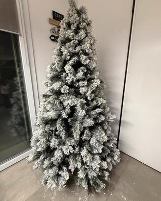 Albero di natale