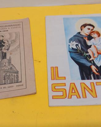 Ricordo del mio pellegrinaggio alla Basilica del S