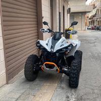 Can am renegate 650cc 2025
