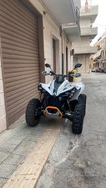 Can am renegate 650cc 2025