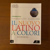 Il nuovo latino a colori grammatica