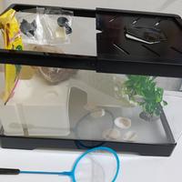 terraio tartarughe acquatiche 