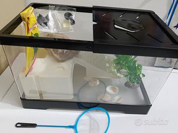 terraio tartarughe acquatiche 