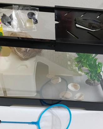 terraio tartarughe acquatiche 