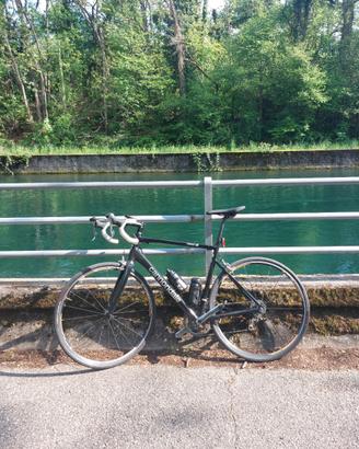 Cannondale optimo 1