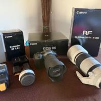 Canon R6 Mk II + 24-105mm F/4 + 100-500mm F4.5-7.1