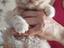 Immagine 4
