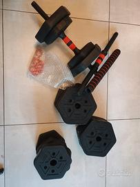 Set manubri SONGMICS 30 kg