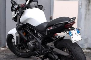 Benelli BN302