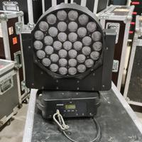 WASH PICTOLED SAGITTER