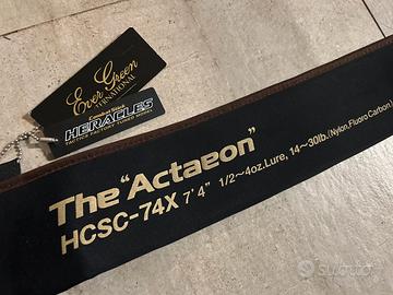 Evergreen heracles HCSC-74X