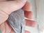 Immagine 4