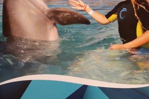 Buona Vacanza 1 settimana soggiorno in appartament