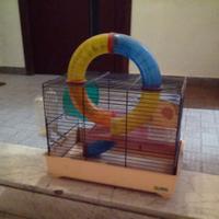 gabbia per criceto