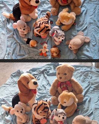 peluches vari trudy ecc...si spedizione 