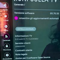 Annuncio  TV usata – LG OLED 65”