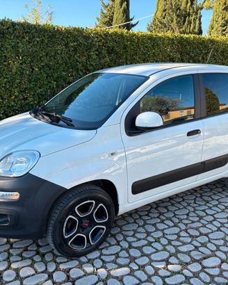 FIAT Panda 0.9Turbo S&S 4x4 Eld Pop N1-Van - 2021
