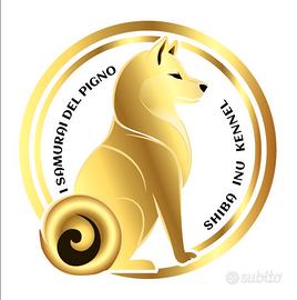 Cuccioli originali di shiba inu con pedigree