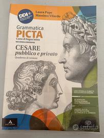 Grammatica picta
