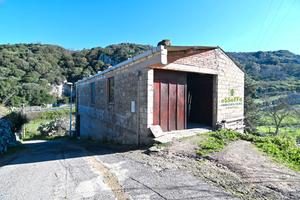 Fabbricato rurale con ampio terreno