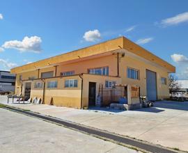 Capannone industriale con corte esclusiva