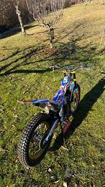 Beta Evo 300 TARGATA