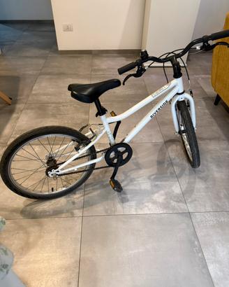 Bicicletta 20 pollici