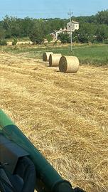 Paglia da alimentazione