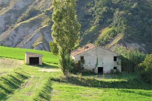 CASOLARE COLONICO DA RISTRUTTURARE con TERRENO